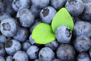 Grain free, Paleo style blueberry pancakes