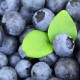 Grain free, Paleo style blueberry pancakes