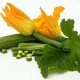 Yummy Zucchini Pie Recipe