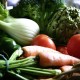 Is A Vegetarian Diet Healthy?
