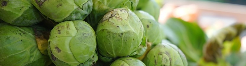 Brussels Sprouts: Nutritional Powerhouse