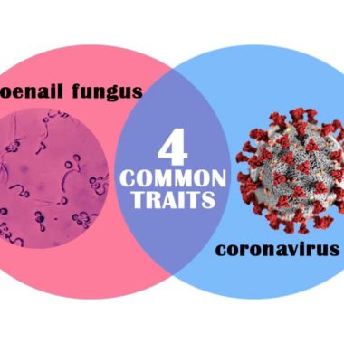coronavirus-and-fungal-common-traits